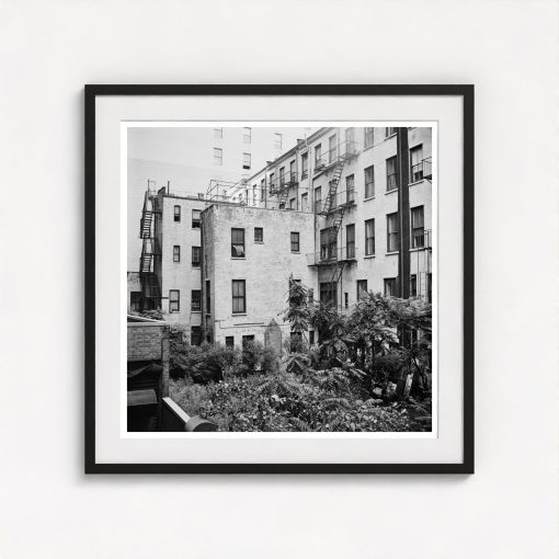 Rear Window Shoot - Image 3