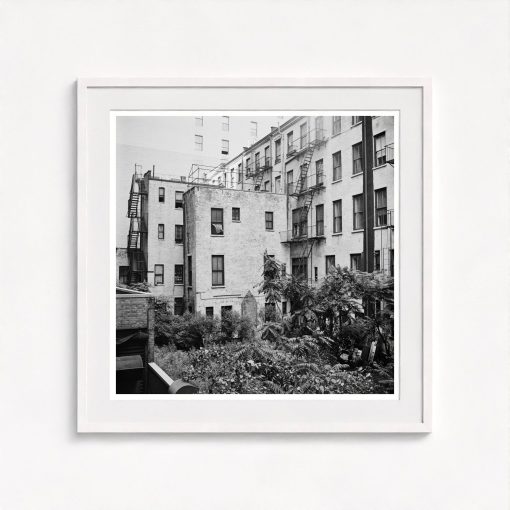 Rear Window Shoot - Image 5