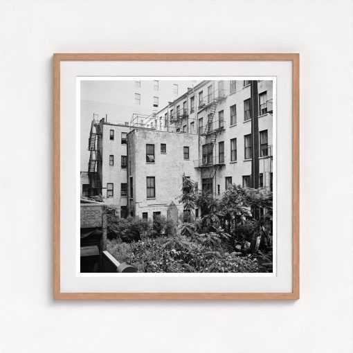 Rear Window Shoot - Image 7