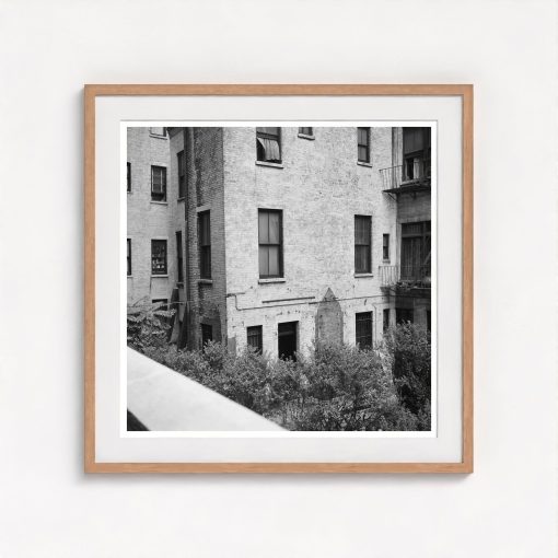 Rear Window Shoot - Image 7