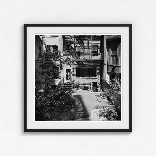 Rear Window Shoot - Image 3