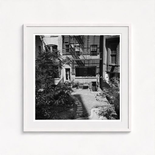 Rear Window Shoot - Image 5