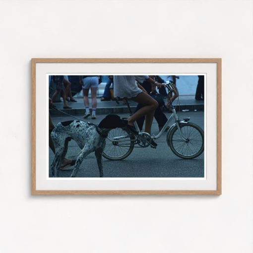 Saint-Tropez Cyclist - Image 7