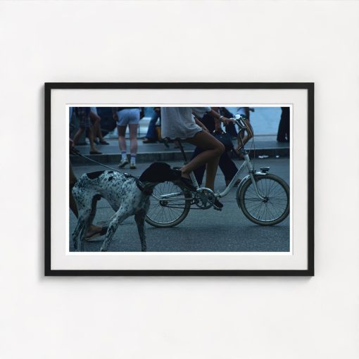 Saint-Tropez Cyclist - Image 3