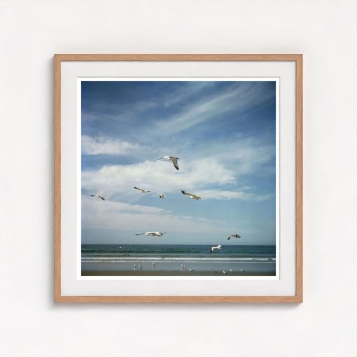 San Diego Gulls - Image 7