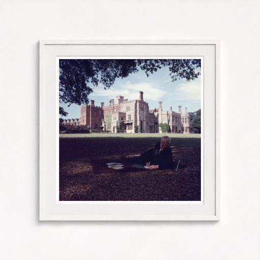 Sandwich In The Shade - Image 5