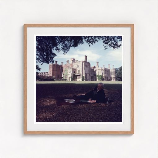 Sandwich In The Shade - Image 7