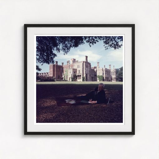 Sandwich In The Shade - Image 3