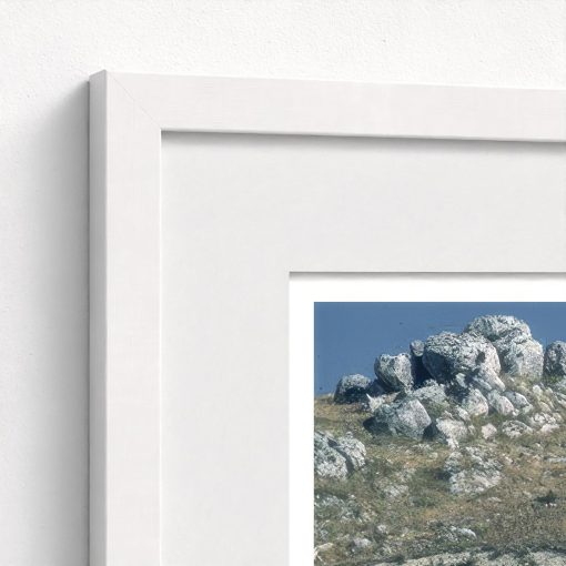 Sicilan Flock - Image 6