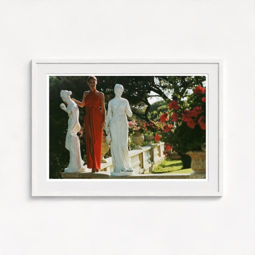 St Tropez Garden - Image 5