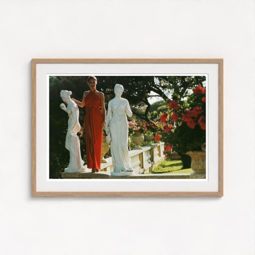 St Tropez Garden - Image 7