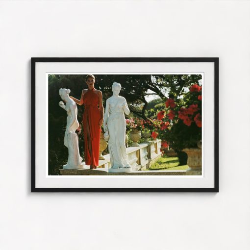 St Tropez Garden - Image 3