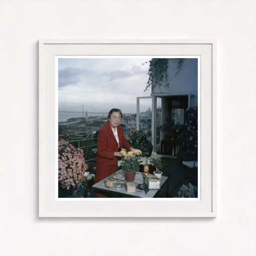 Terrace Gardening - Image 5