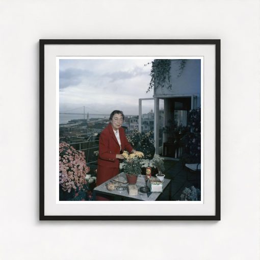 Terrace Gardening - Image 3