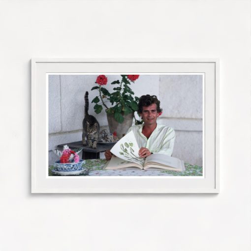 Timothy And His Cat - Image 5