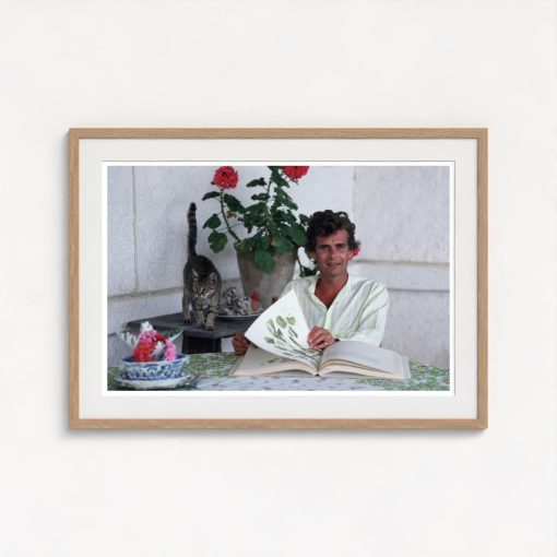Timothy And His Cat - Image 7
