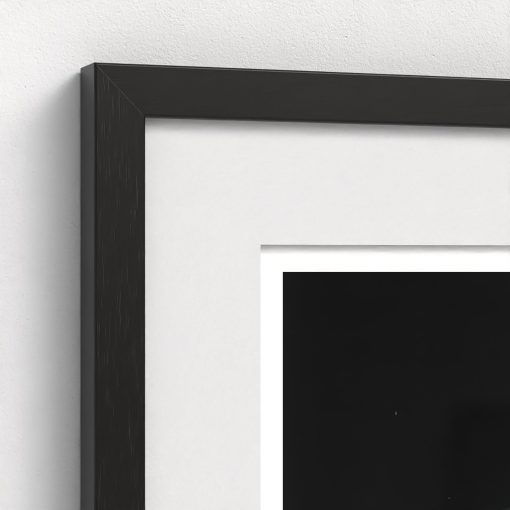 Vanderbilt Whitneys - Image 4