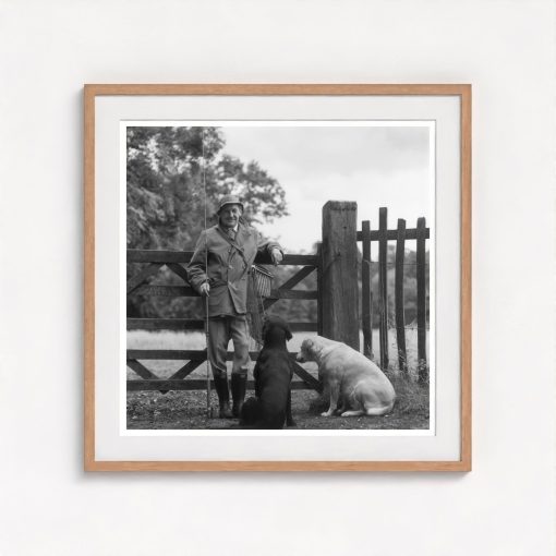 Viscount Scarsdale - Image 7