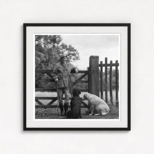 Viscount Scarsdale - Image 3