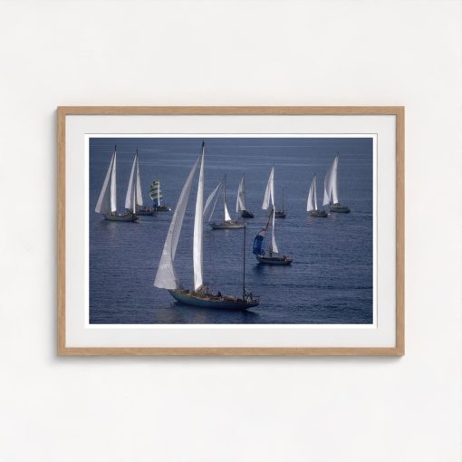 Yachting - Image 7