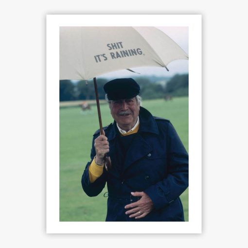 Spectator In The Rain - Image 2
