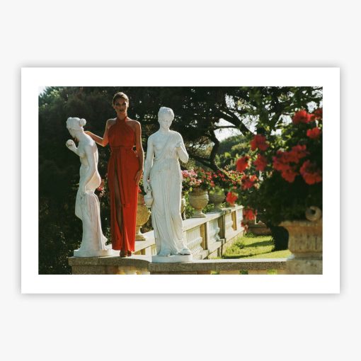 St Tropez Garden - Image 2