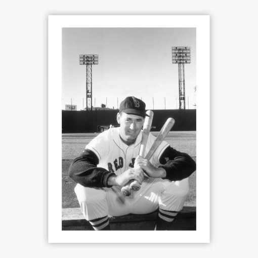 Ted Williams - Image 2