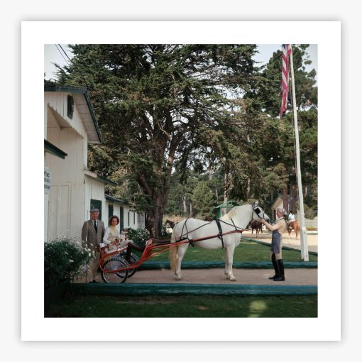 The Collins' - Image 2