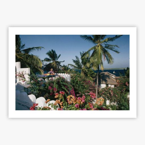 The Lure Of Lamu - Image 2