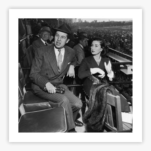 The Vanderbilts - Image 2