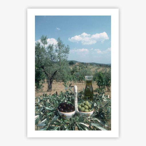 Tuscan Olive Grove - Image 2