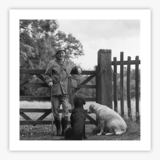 Viscount Scarsdale - Image 2