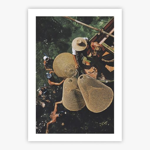 Snorkelling In The Shallows - Image 2