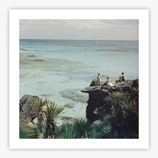 A Nice Spot For Lunch - Image 2