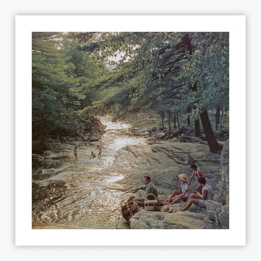 Campbell Falls Picnic - Image 2