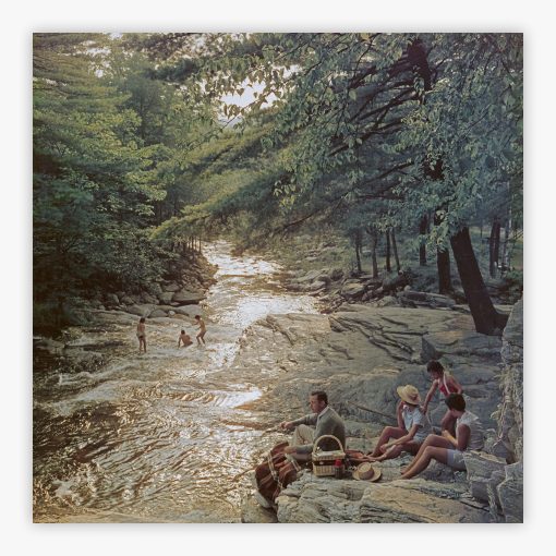 Campbell Falls Picnic