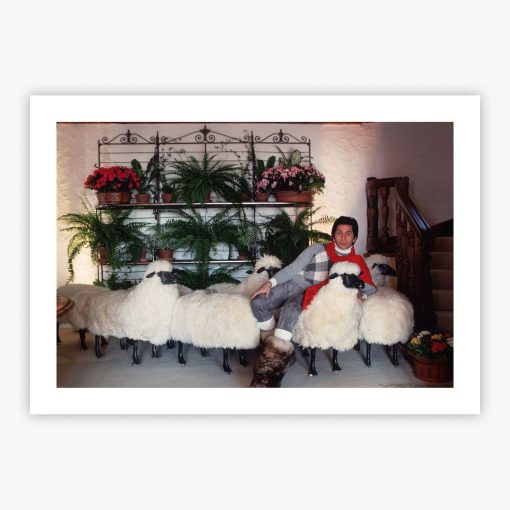Counting Sheep - Image 2