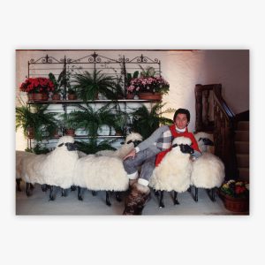 Counting Sheep