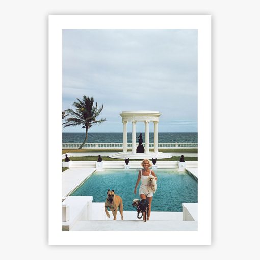 CZ's Dogs - Image 2