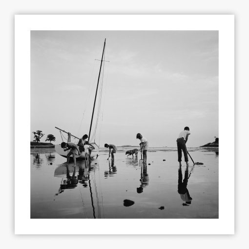Digging For Clams - Image 2