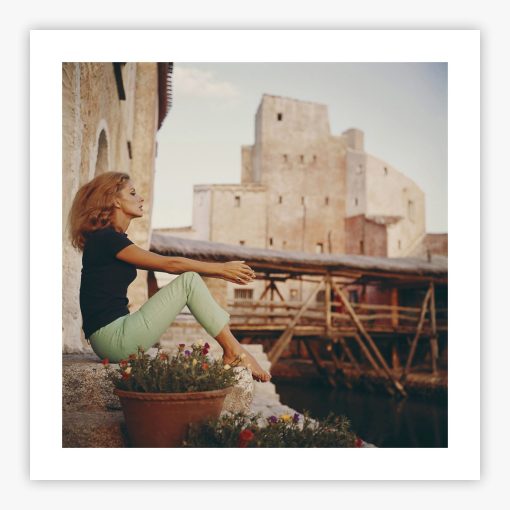 Dolores Guinness - Image 2