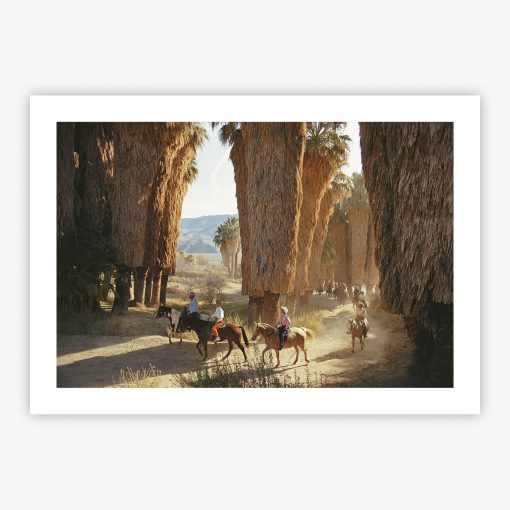 Early Riders - Image 2