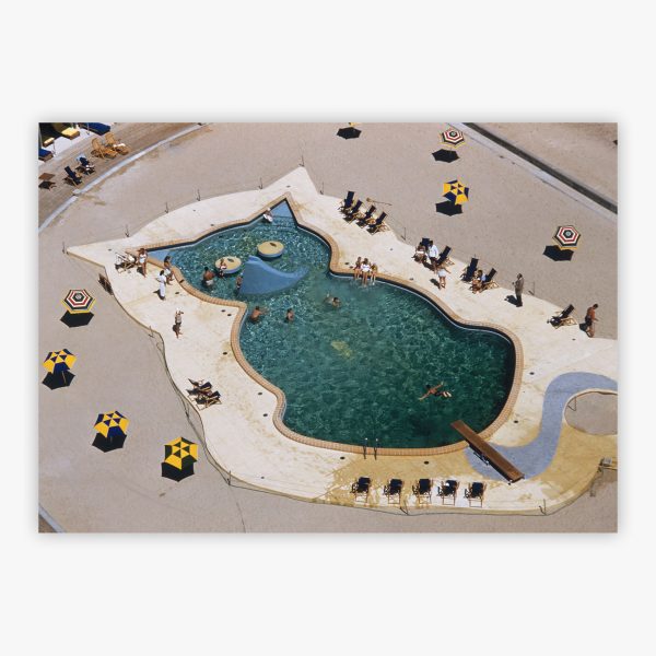 Fontainebleau Pool