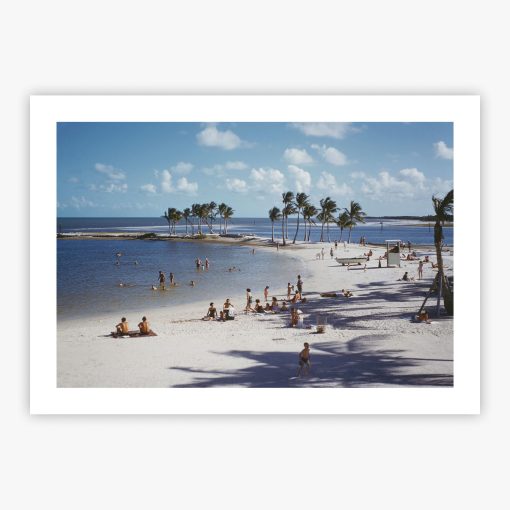 Matheson Hammock Park - Image 2