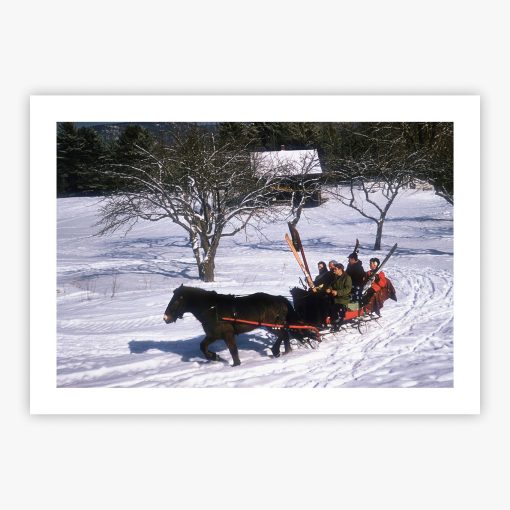 North Conway Sleigh - Image 2