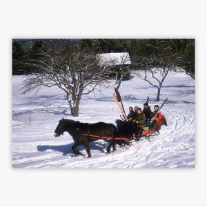North Conway Sleigh