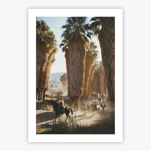 Palm Springs Riders - Image 2