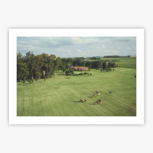 Polo Match - Image 2