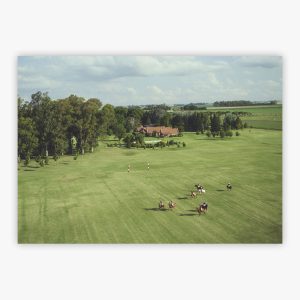 Polo Match