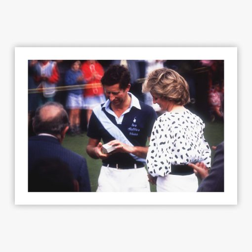 Polo Prince - Image 2